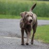 Unsere Amy