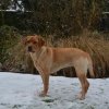 nora_schnee